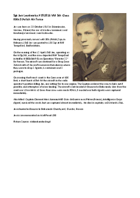 A preview of a PDF biography for Lesniewicz, Jan